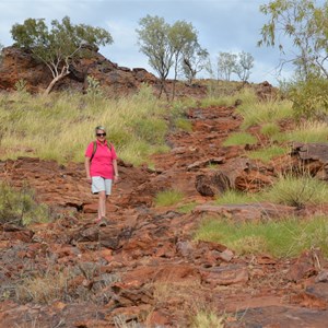 Upper Gorge Walk Track