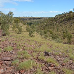 Upper Gorge Walk Track Junction 