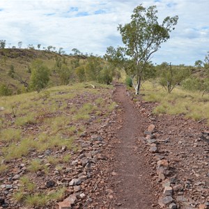 Upper Gorge Walk Track Junction 