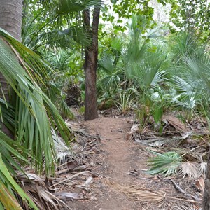 Upper Gorge Walk Track 