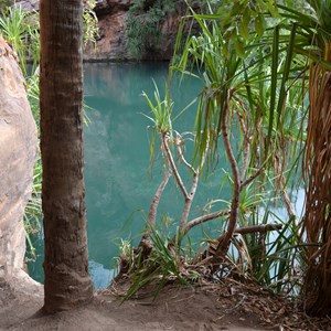 Upper Gorge Walk Track 