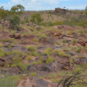 Upper Gorge Walk Track Junction 