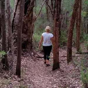 Descending the Bibblumun Track from Monkey Rock