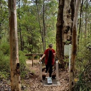 Dieback shoe cleaning station on Bibblumun Track