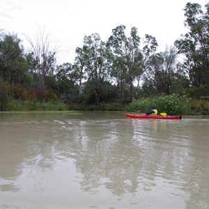 Amazon Creek 