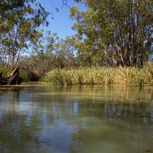 Amazon Creek 