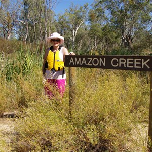 Amazon Creek 