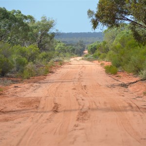 Danggali Conservation Park Track Junction