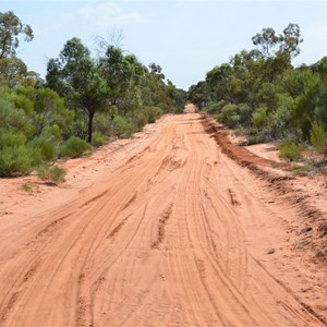Danggali Conservation Park Track Junction