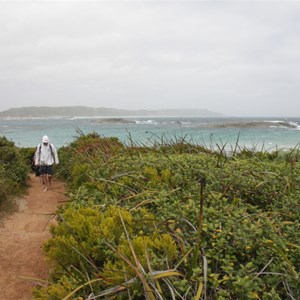 Walk trail to Madfish Bay