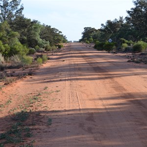 Tarawi Nature Reserve Eastern Boundary