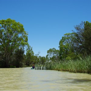 Salt Creek - Murray River