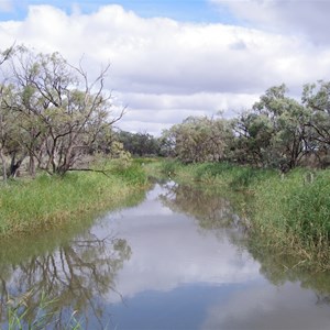 Eckert Creek