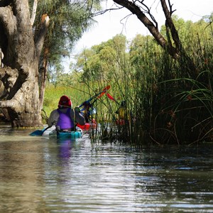 Kylie Creek - Murray River 