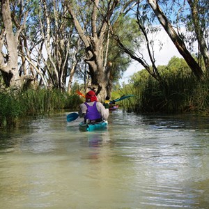 Kylie Creek - Murray River 