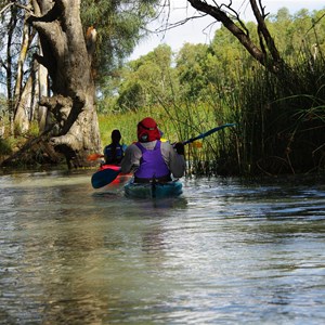 Kylie Creek - Murray River 