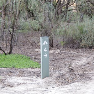 Campsite 4 Turn Off Katarapko National Park