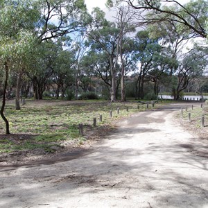 Campsite 2 Turn Off Katarapko National Park