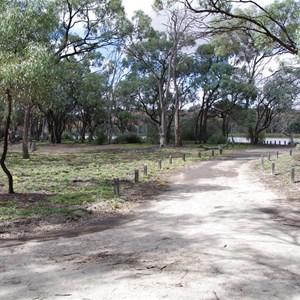 Campsite 2 Turn Off Katarapko National Park