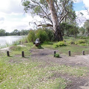 Campsite 1 Katarapko National Park