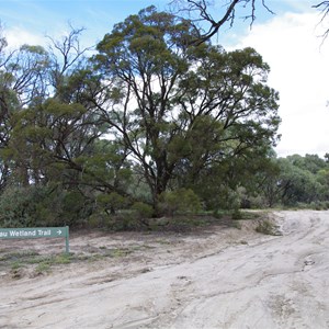 Ngak Indau Wetland Trail Turn Off