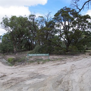 Ngak Indau Wetland Trail Turn Off