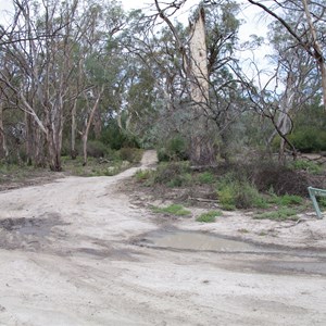 Campsites 9 & 10 Turn Off Katarapko National Park