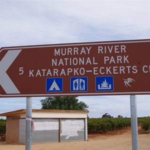 Murray River National Park - Katarapko - Eckerts Creek Turn Off 