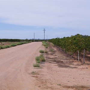 Eckerts Creek Turn Off 