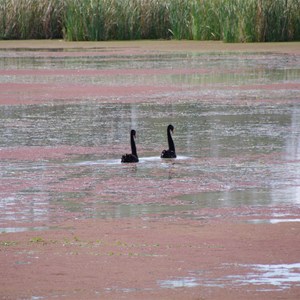 Katarapko National Park - Eckerts Creek Section - Eckerts Creek