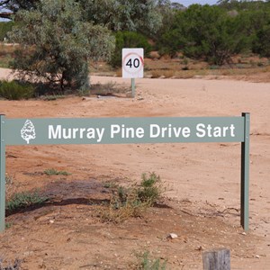 Murray River National Park - Katarapko Creek - Information Bay