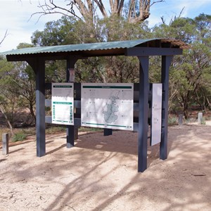 Murray River National Park - Katarapko Creek - Information Bay