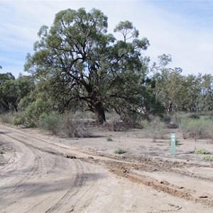 Campsite 6 Turn Off & Eco Toilet Katarapko Creek