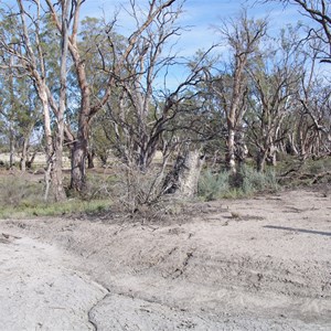 Campsite 16 Turn Off - Katarapko Creek