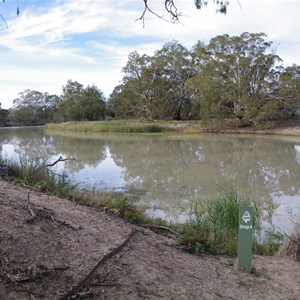 Boat Ramp, Old Ferry Site & Stop 4 - Murray Pine Drive