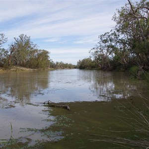 Boat Ramp, Old Ferry Site & Stop 4 - Murray Pine Drive