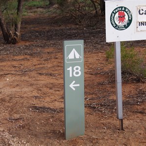 Camp Site 18 - Katarapko Creek