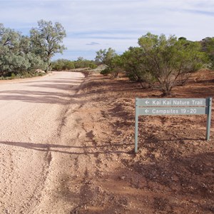 Campsites 19 - 20 Turn Off - Katarapko Creek 