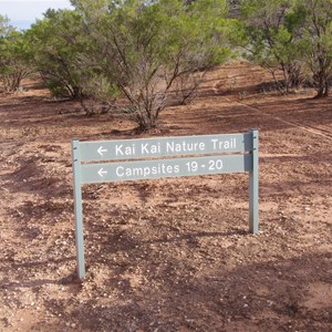 Campsites 19 - 20 Turn Off - Katarapko Creek 