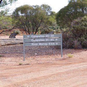 Campsites 23 - 30 & 31 - 40 Turn Off - Katarapko Creek