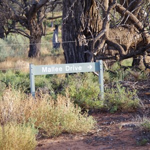 Mallee Drive Turn Off and Stop 9 - Katarapko Creek