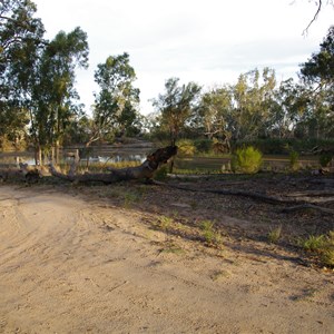 Campsite 36 - Katarapko Creek