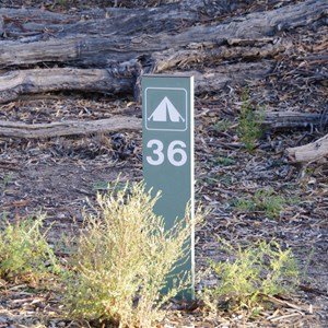 Campsite 36 - Katarapko Creek