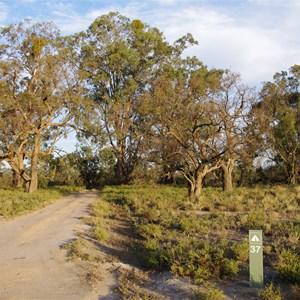 Campsite 37 Turn Off - Katarapko National Park