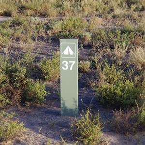 Campsite 37 Turn Off - Katarapko National Park