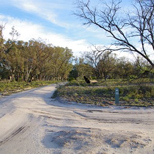 Campsite 38 Turn Off & Eco Toilet - Katarapko Creek 