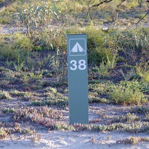 Campsite 38 Turn Off & Eco Toilet - Katarapko Creek 