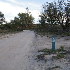 Campsites 39 Turn Off - Katarapko Creek