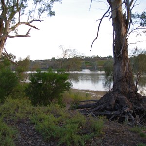 Campsite 40 - Katarapko Creek 