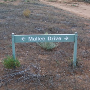 Mallee Drive Direction Sign